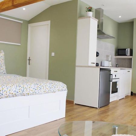 Saint Etienne : Appartement Chateaucreux 40 M2 Экстерьер фото