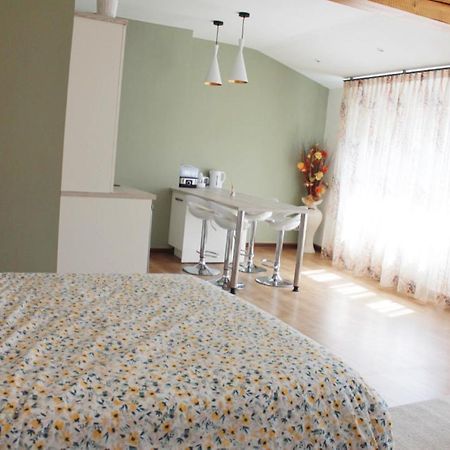 Saint Etienne : Appartement Chateaucreux 40 M2 Экстерьер фото