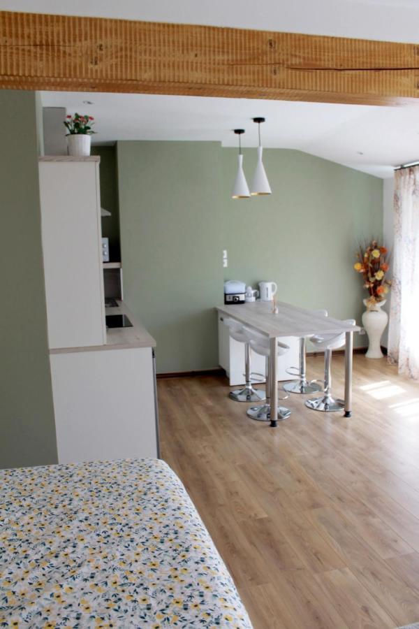 Saint Etienne : Appartement Chateaucreux 40 M2 Экстерьер фото
