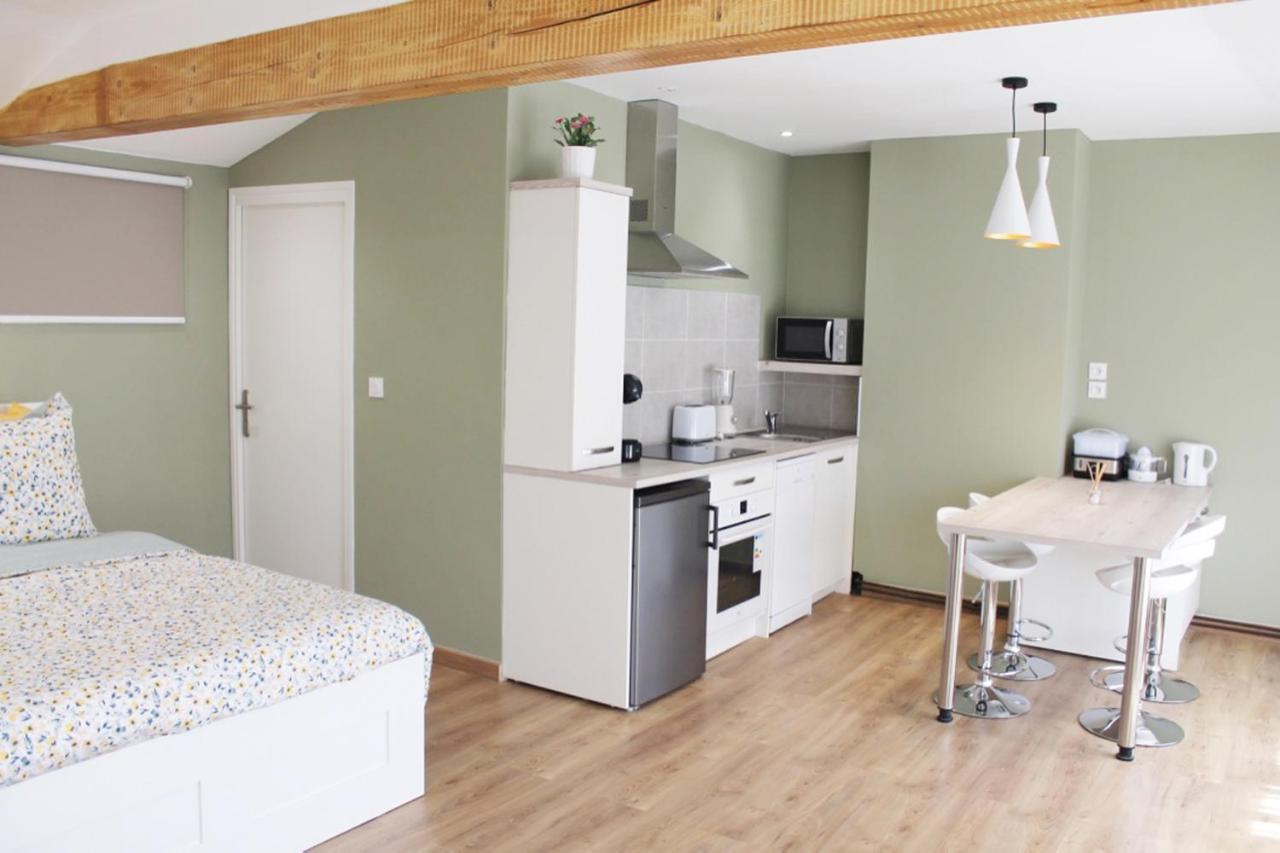 Saint Etienne : Appartement Chateaucreux 40 M2 Экстерьер фото
